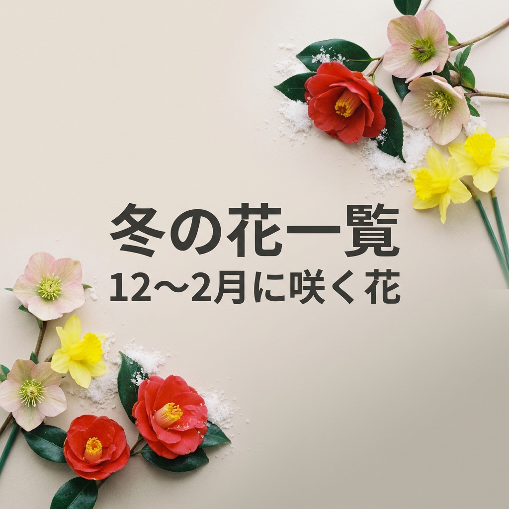 winter-flowers