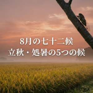 august-shichijuniko