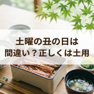 doyo-vs-doyobi