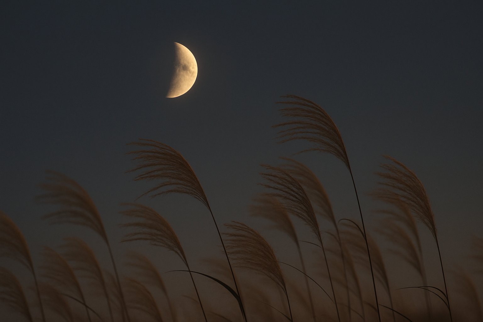 秋の澄んだ夜空に少し欠けた十三夜の月が浮かび、手前でススキの穂が揺れている落ち着いた色合いのイメージ